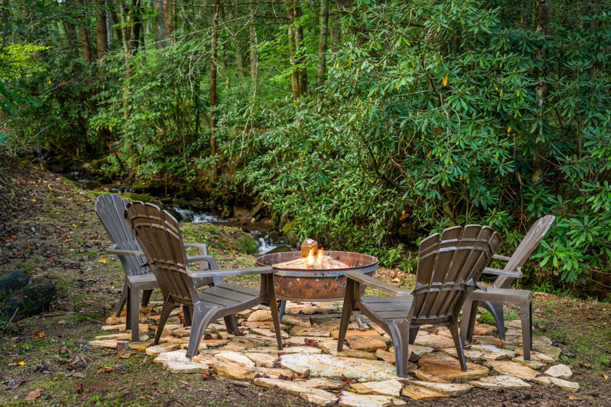 WHAT IF YOUR BACKYARD WAS USFS LAND? - photo 26
