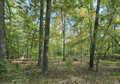 Property image.