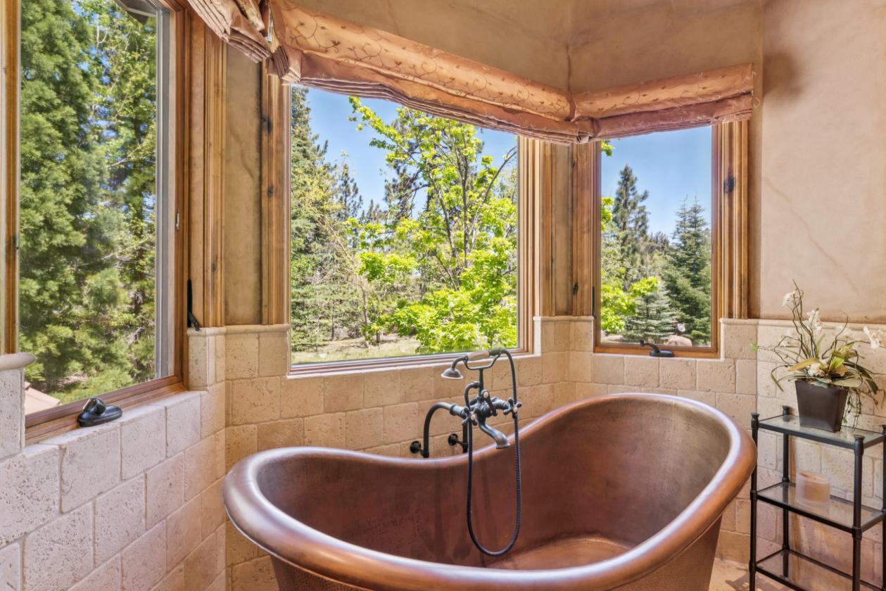 Luxury Equestrian Estate in the Mountains - photo 15