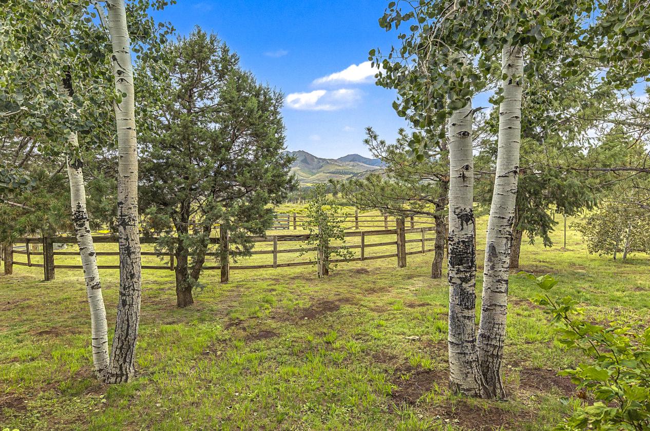 Horse Property on Nearly 4 Acres - photo 16