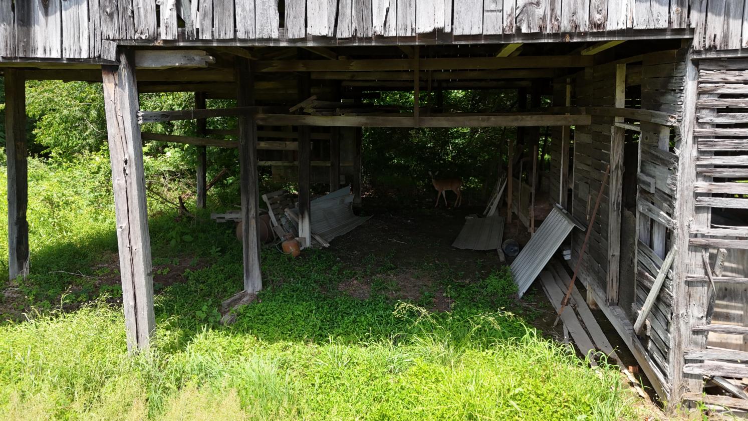 Large Farm Property With Water And Electric Onsite - photo 17