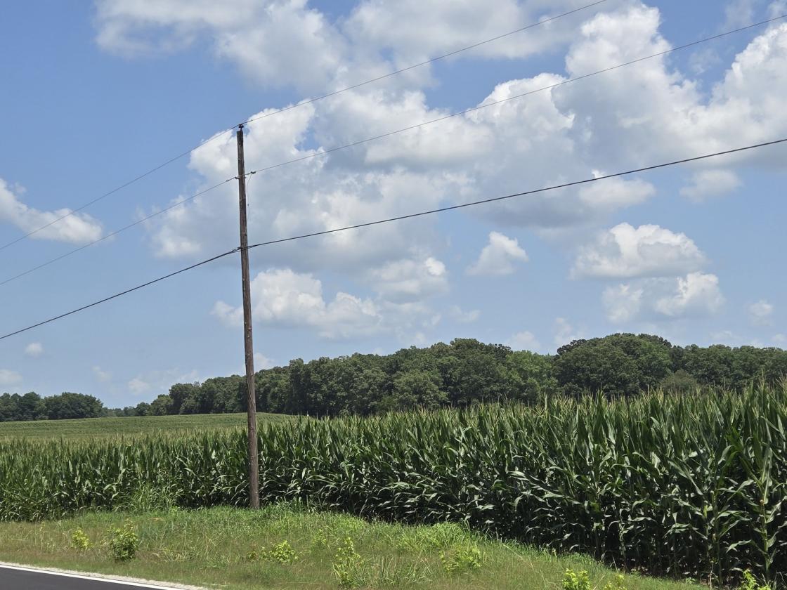 95 acre Farm and Two Houses - photo 3