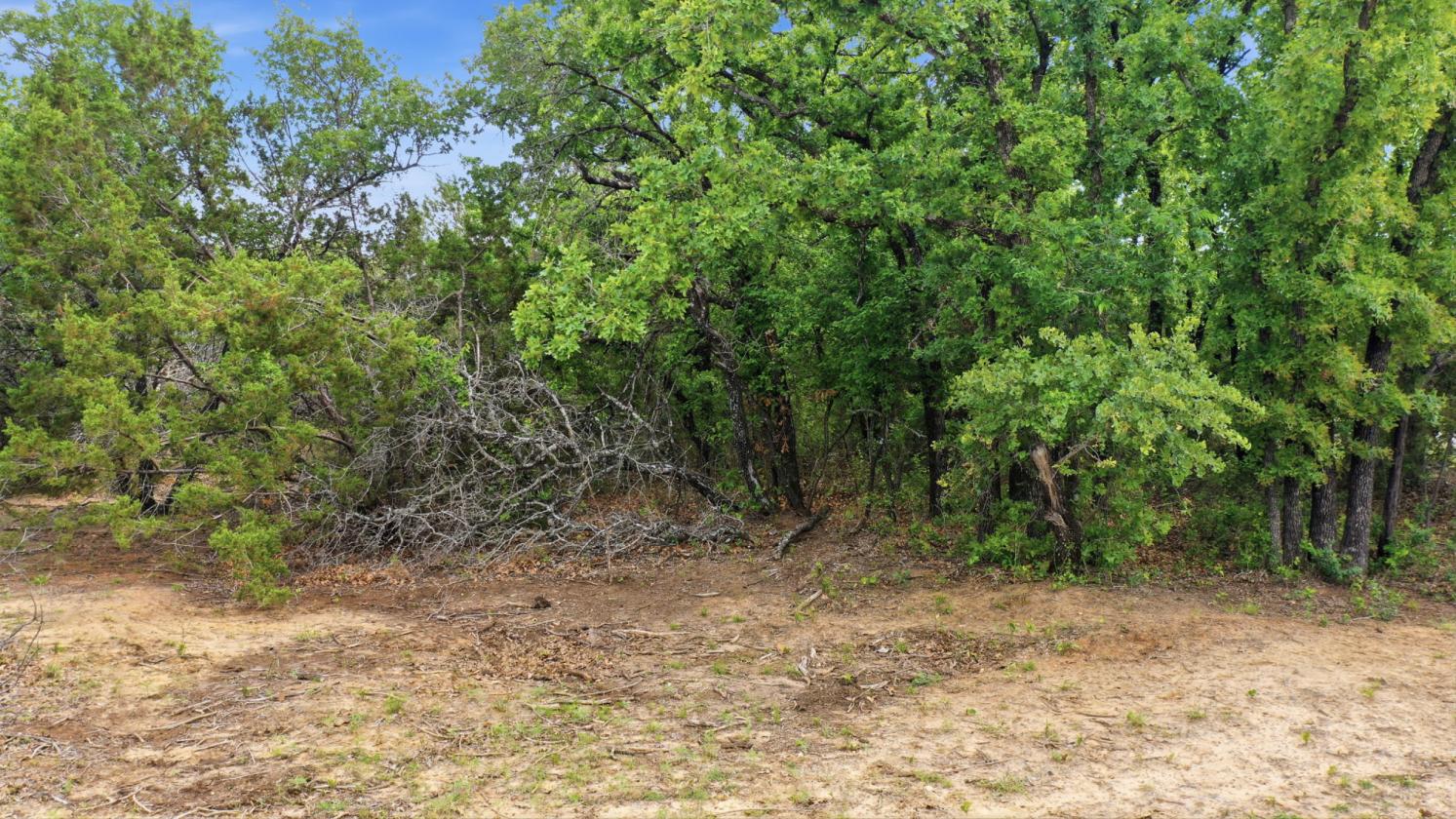 12-Acre Ag-Exempt Property - photo 24