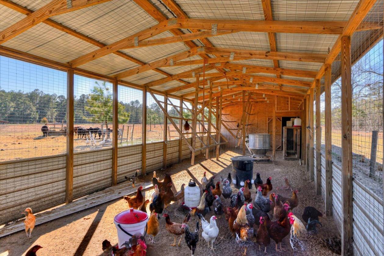 Beautiful 61-Acre Horse Property - photo 29