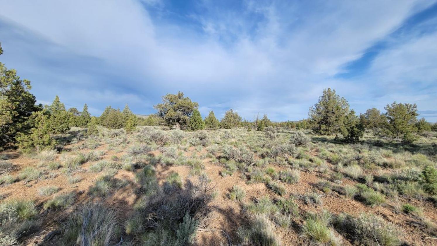 9.8 Buildable acres / Cross fenced - photo 5