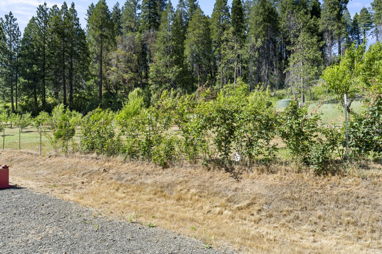 Beautiful Apple Hill Property - photo 23