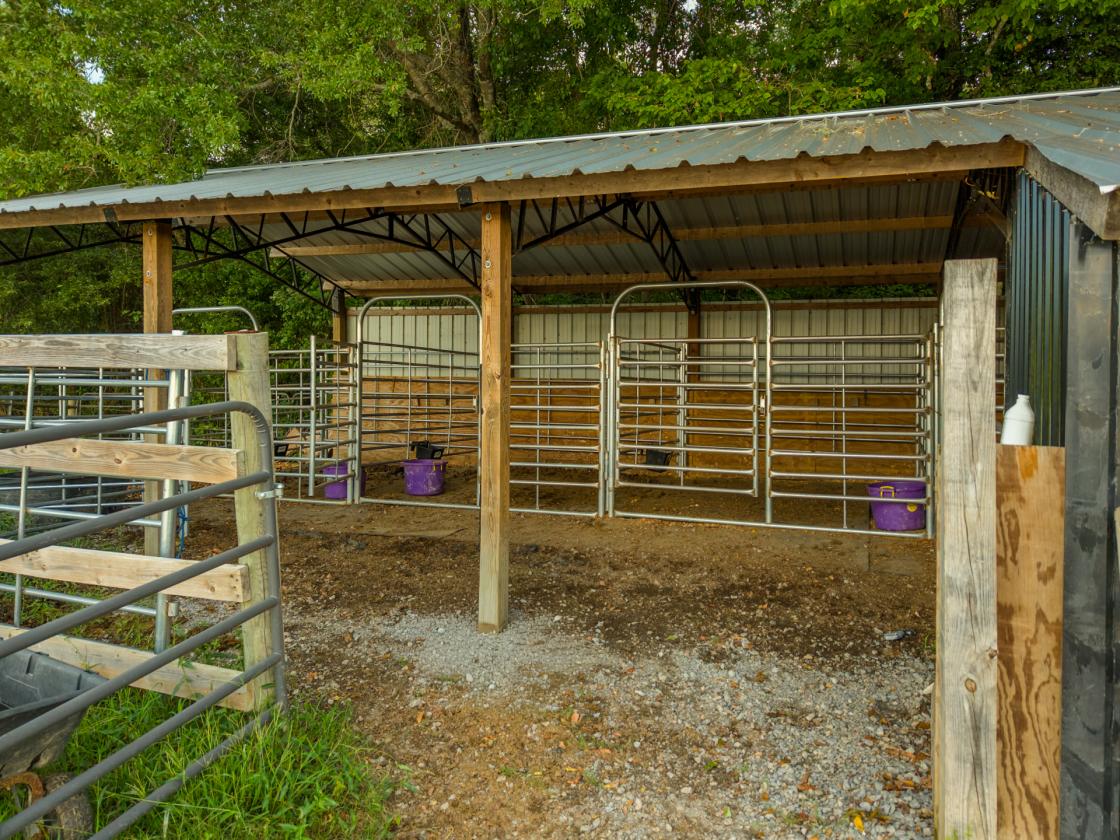 Rare Arkansas Estate with equestrian stalls - photo 7