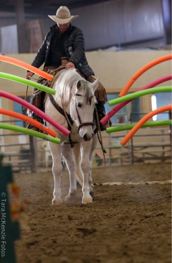 100 x250 ft Steel Engineered INDOOR ARENA, 138.6Ac - photo 14