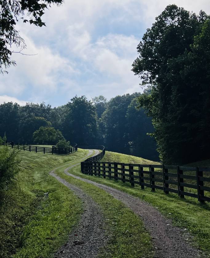 Horse Property for sale.