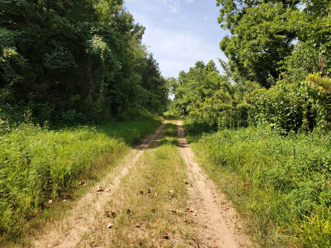 Strawberry River Ranch Oxford, Izard County, Arkansas