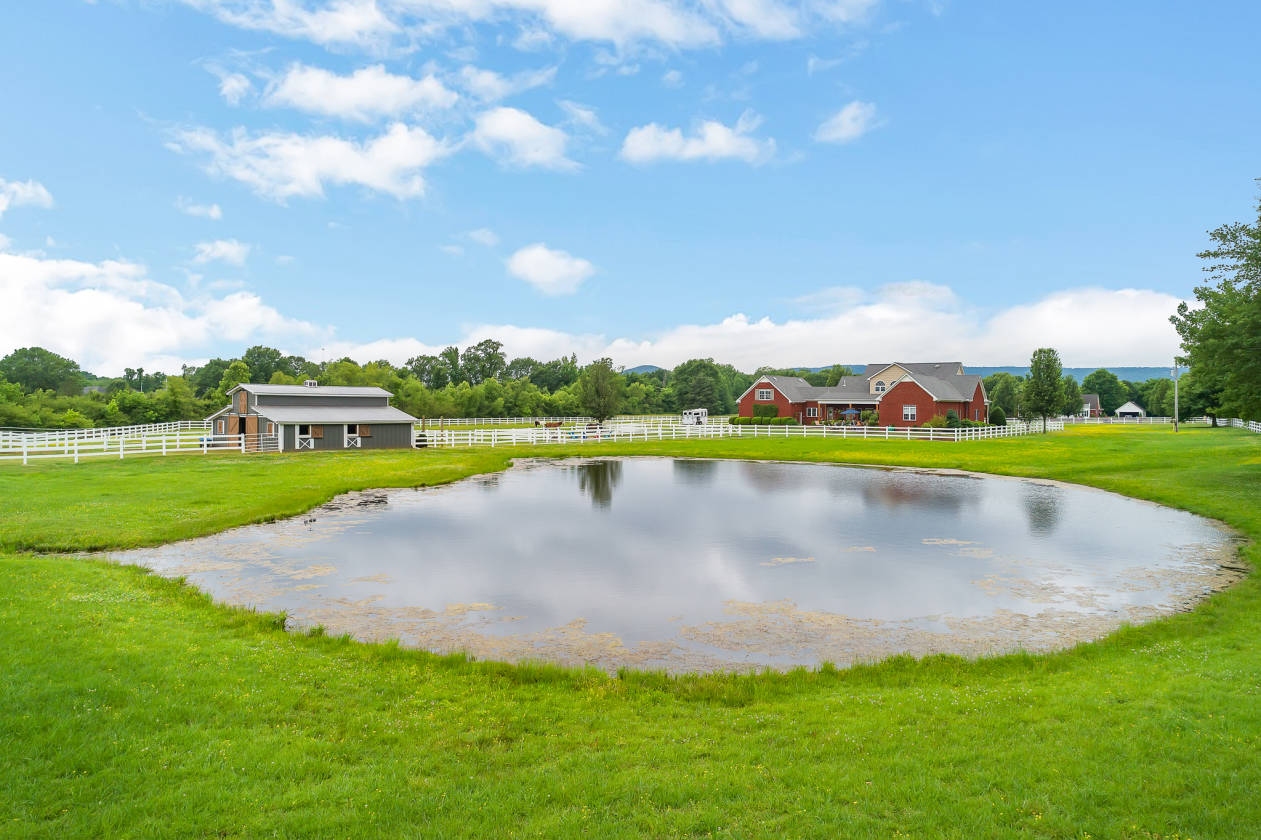 Professionally designed equestrian estate home near Hampton Cove