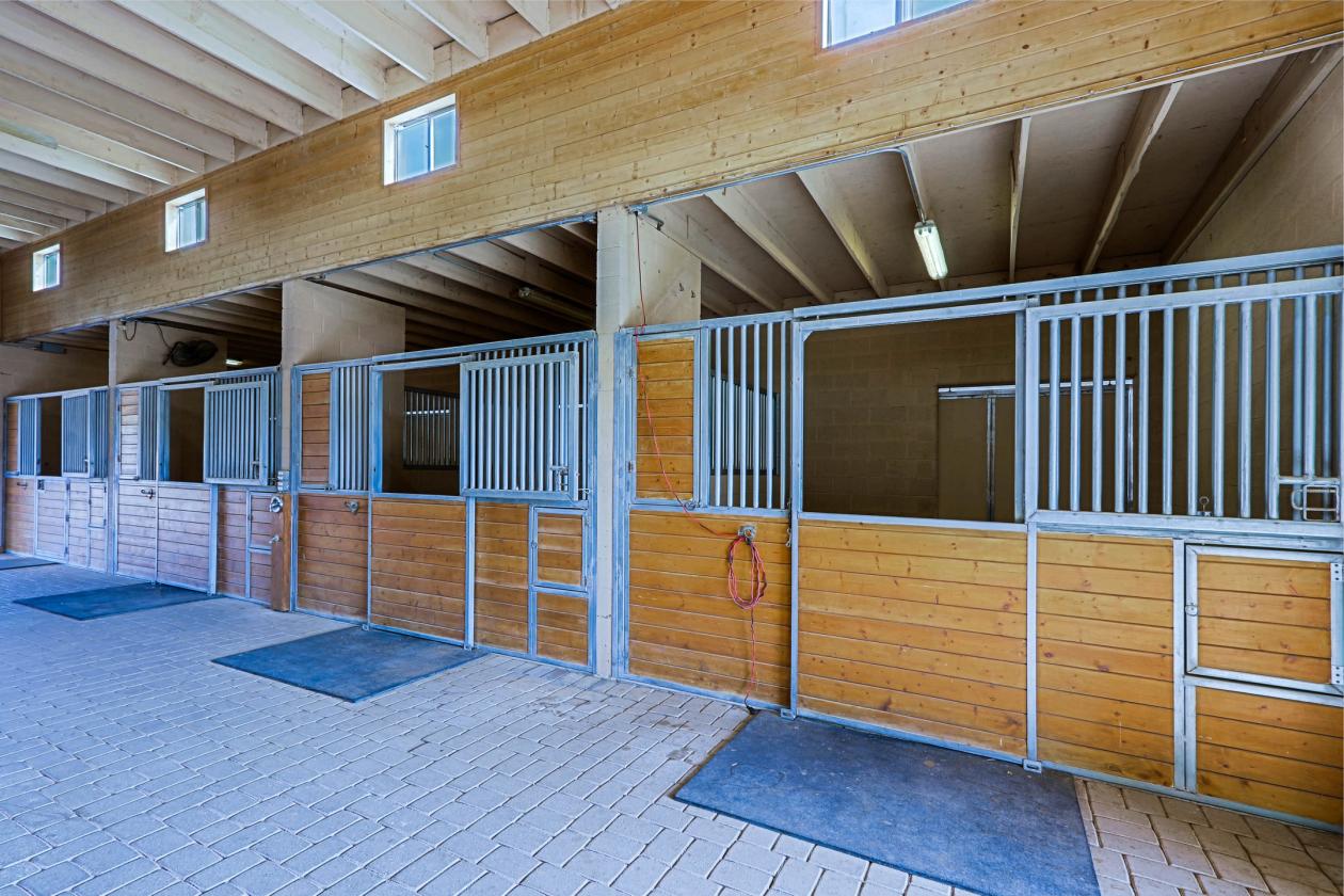 Exceptional 5 Acre Estate with a Designer Barn - photo 7