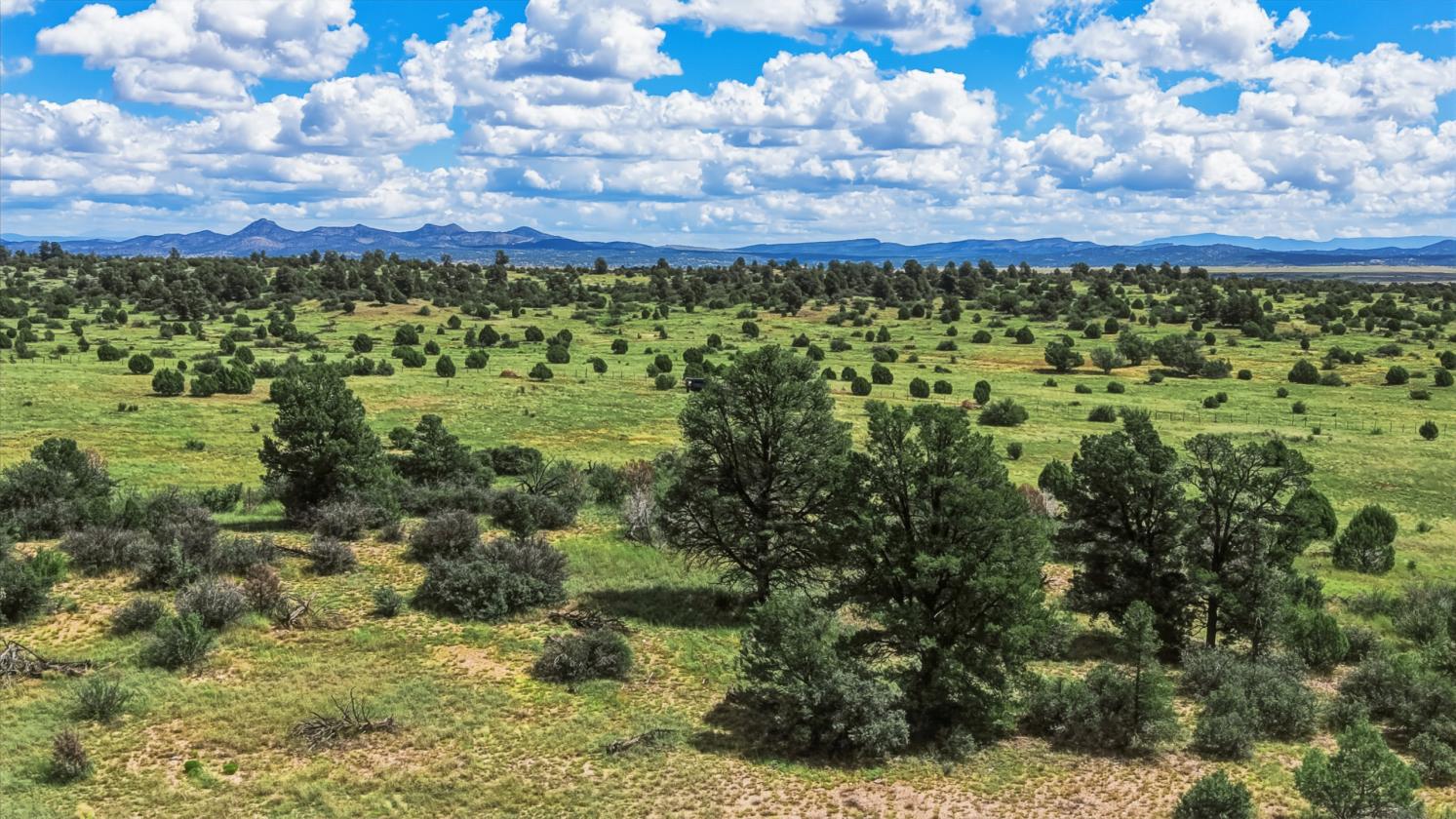 200 Acres in Yavapai County - photo 13