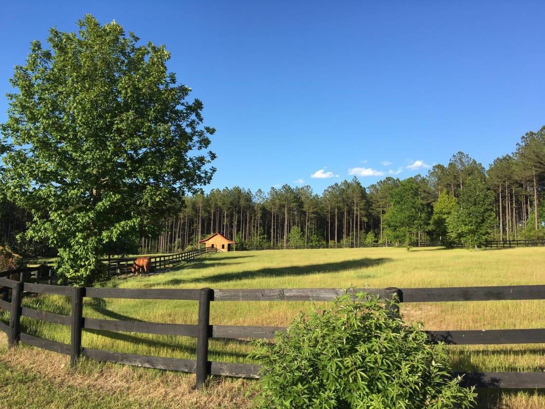 21 acre horse farm, 6 stall barn, optional 19+ acres.... Aiken, Aiken