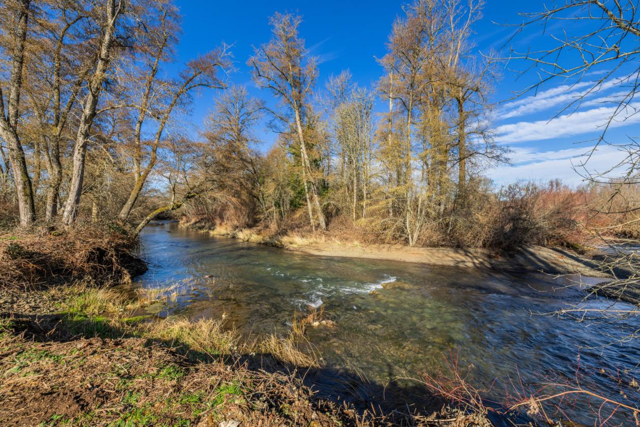 20 Acre Hobby Farm With Water Rights - photo 26
