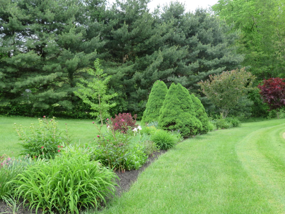 Beautiful Country Home on 12+ Acres near Atwood Lake! Horse