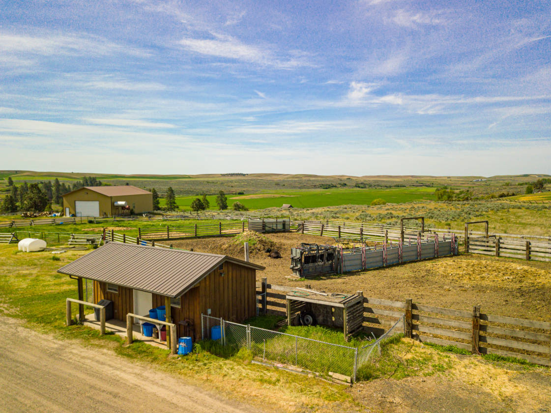 to Rock Creek Ranch! Ready for your dream home... Edwall, Lincoln County, Washington