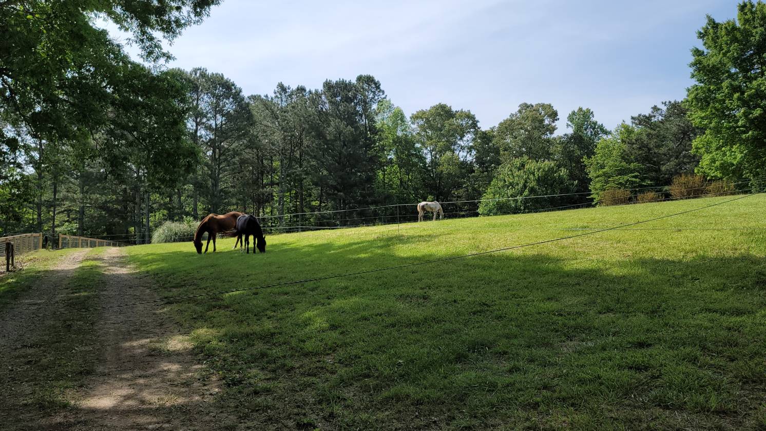 Horse Farms For Sale in Loganville County, Walton County GA