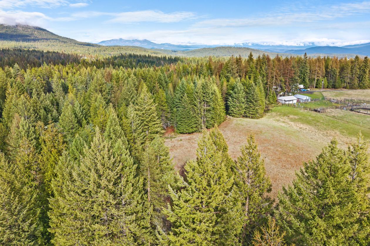 Level 20.65 acres w/Creek, Pasture & Woods - photo 24