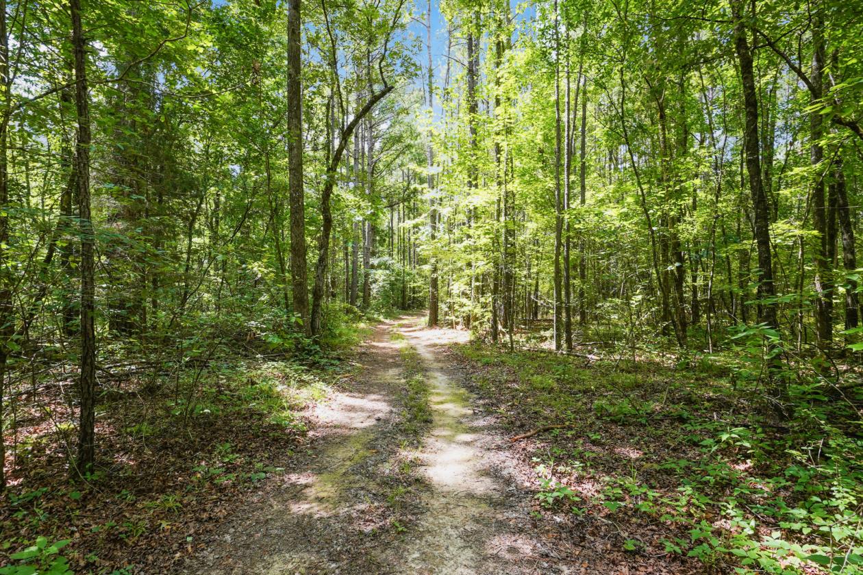 89.99 acre horse farm with lighted arena & more - photo 27