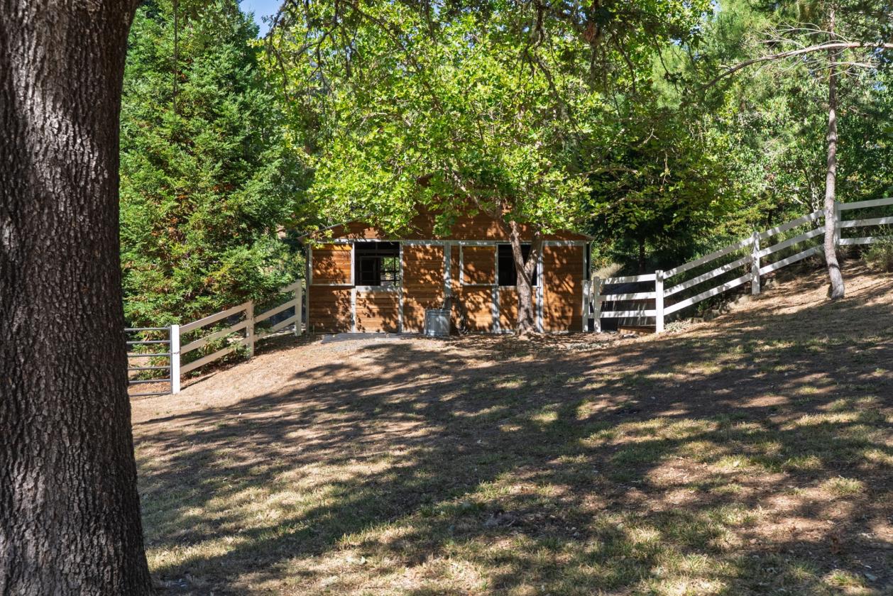 Gorgeous Equestrian Property in Sonoma County! - photo 7
