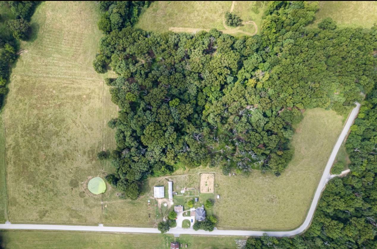 206 beautiful mostly level land - photo 17