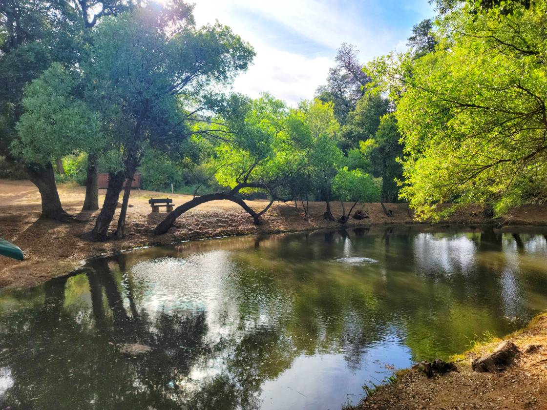 Horse Property for sale.