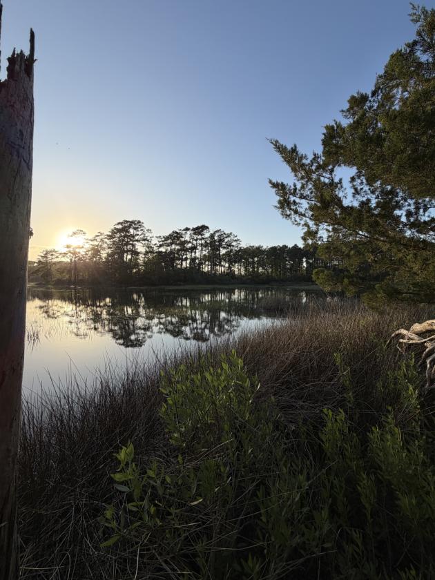 Premier 22± Acre Waterfront Equestrian Estate - photo 16