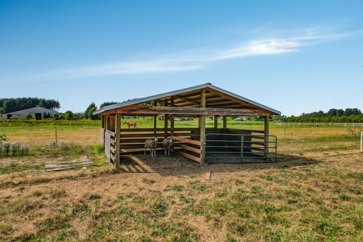 The Ultimate Horse Property with Indoor Arena - photo 17
