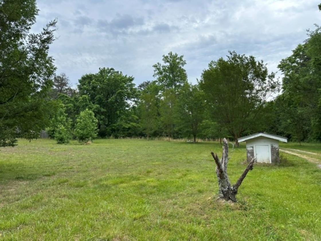 78.93 Acres Makes a Perfect Horse Farm Estate - photo 12