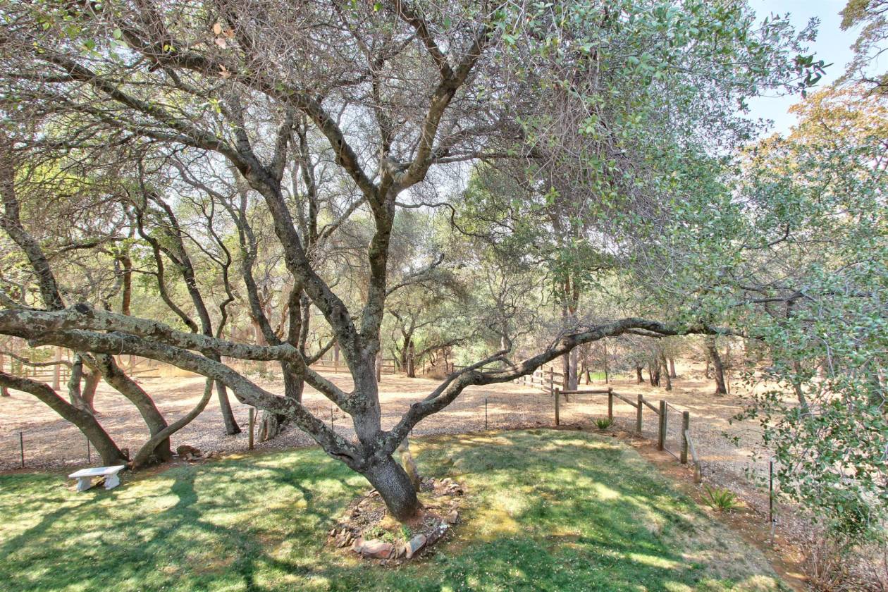 Beautiful Horse property with updated home and close to trails and town