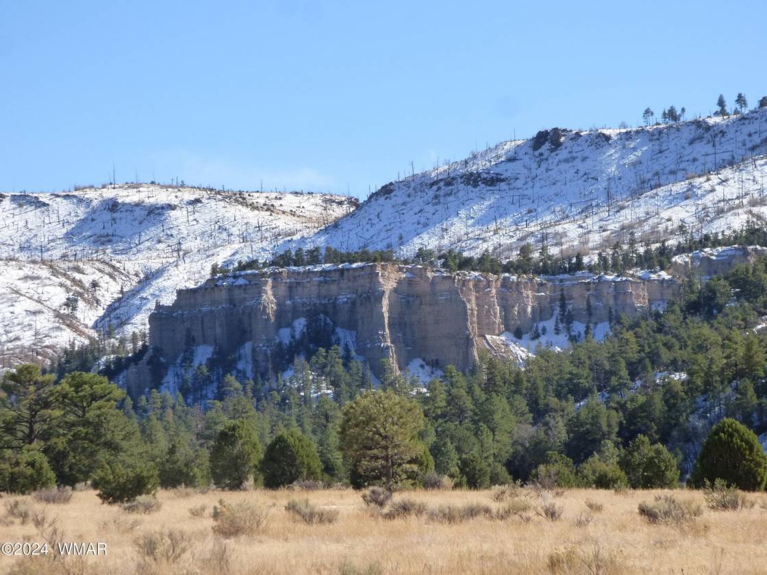 Self-sufficient 40 acre Ranch borders Nat'l Forest - photo 4