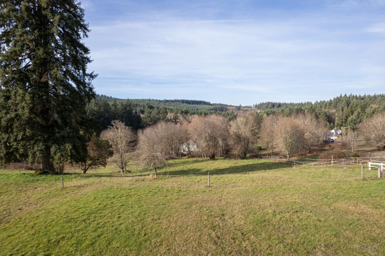 Storybook Home & Timeless Character on 3 acres! - photo 26