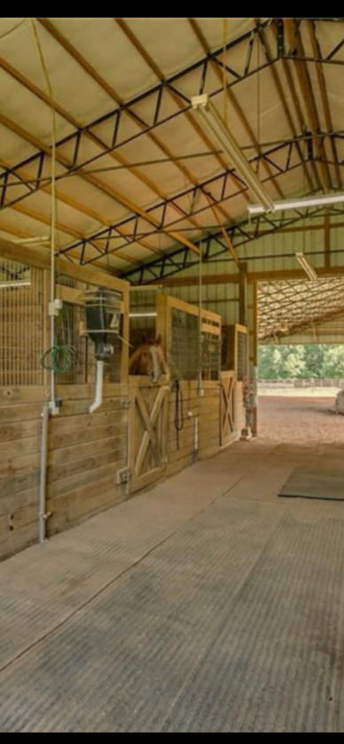 Beautiful Equestrian or Investment Farm 52 acres - photo 22