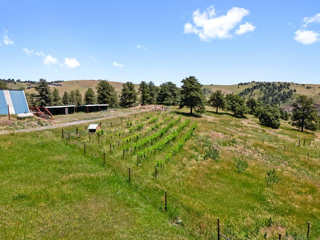 10 acre Horse Property - photo 9