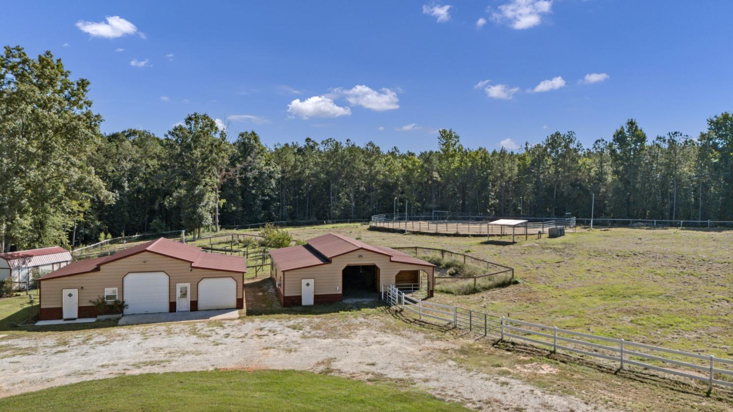 Horse Farm - photo 3