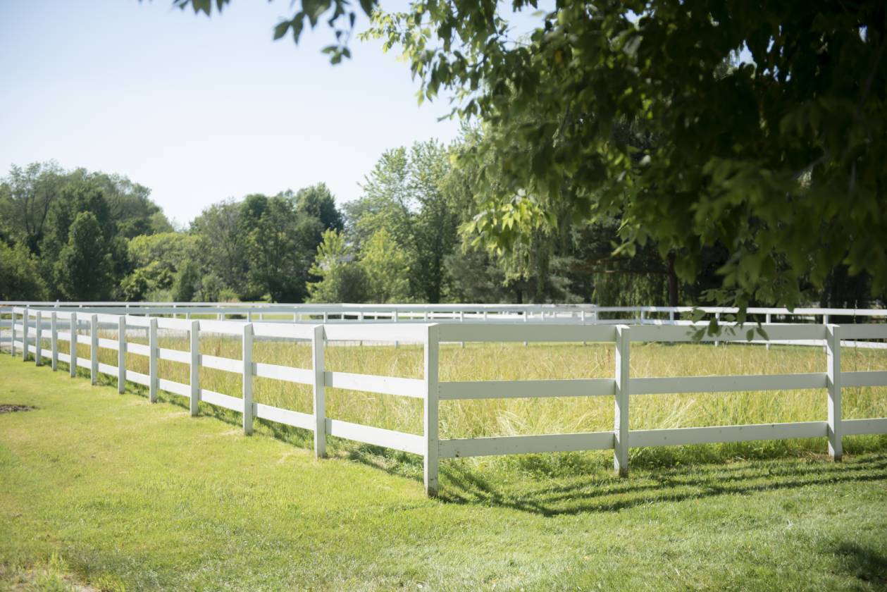 Exceptional 15-Acre Equestrian Facility! - photo 26