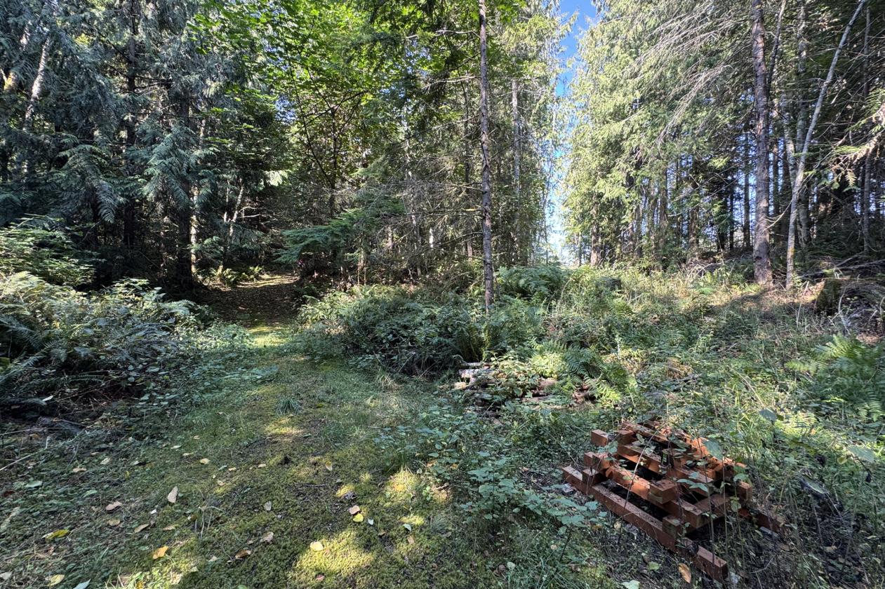 18+ Acre Turn-Key Ranch With Mountain Views - photo 20