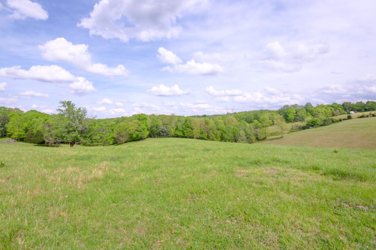 57 +/- Fenced Acreage - photo 16