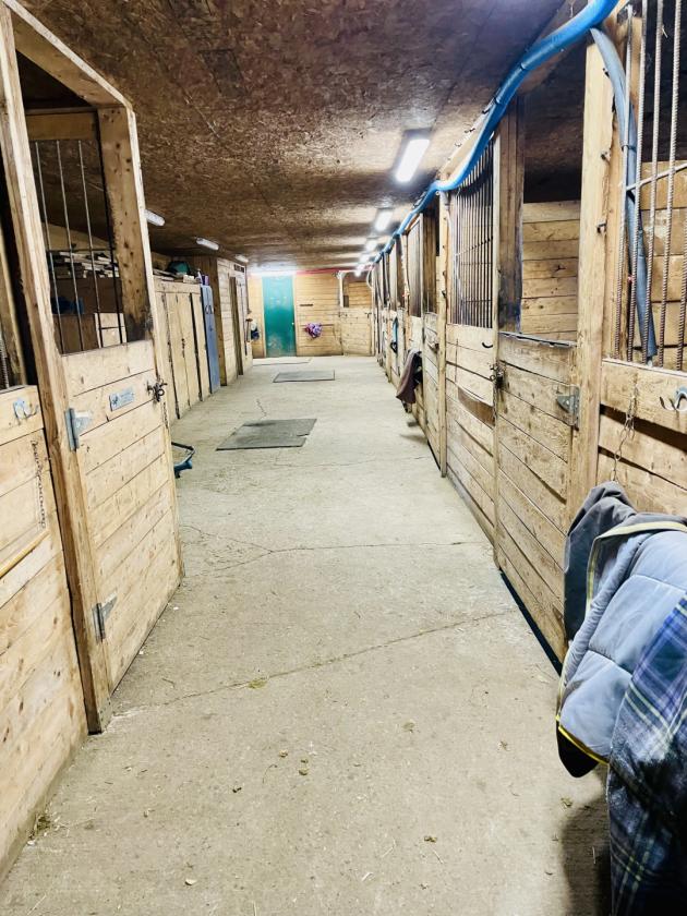 House, Loft, Arena & 17 Stall Barn - photo 4