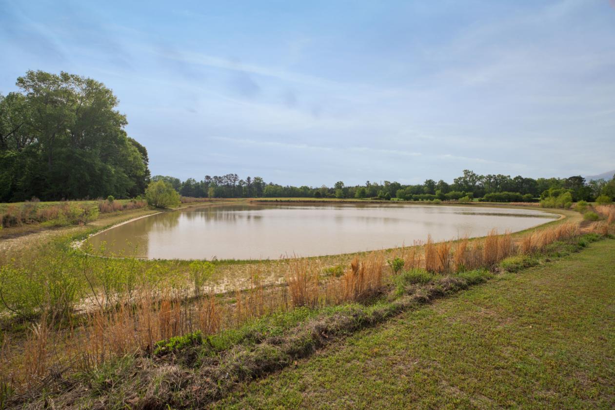 Piney Mount Farm - photo 11