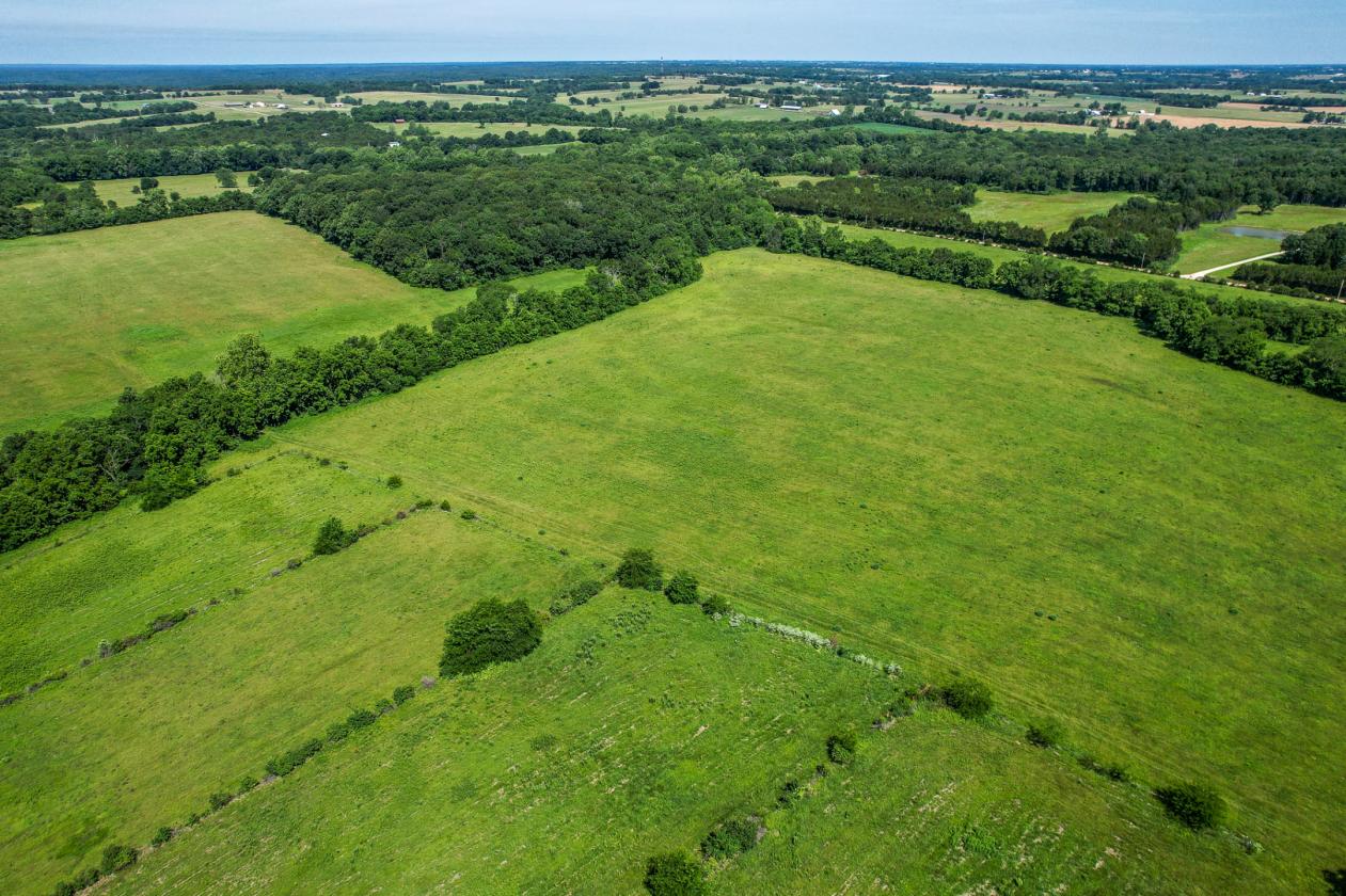 Luxury 227 Acre Horse Property - photo 25