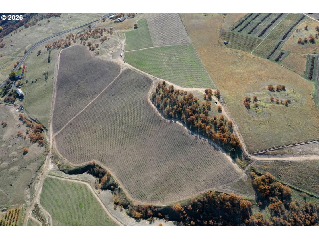 This Rare 288 Acre Legacy Property Awaits You! - photo 20
