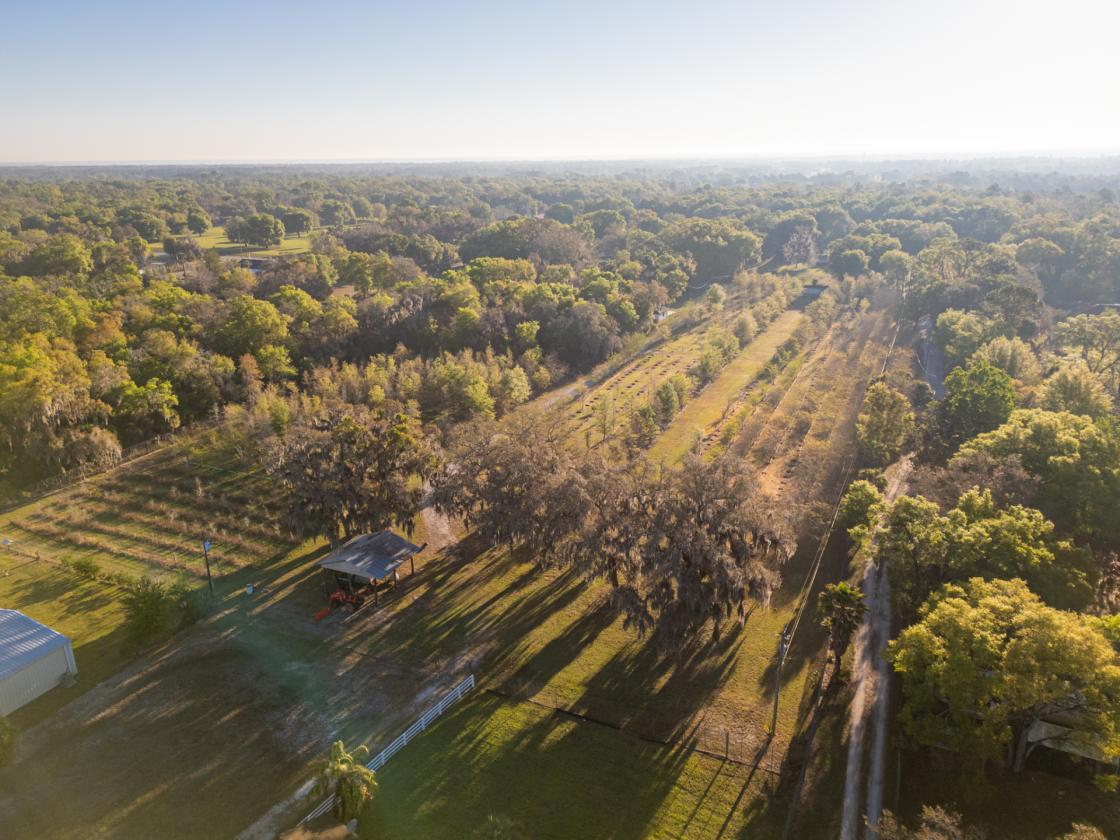 21.75 Acres in Central Florida Horse Country - photo 28