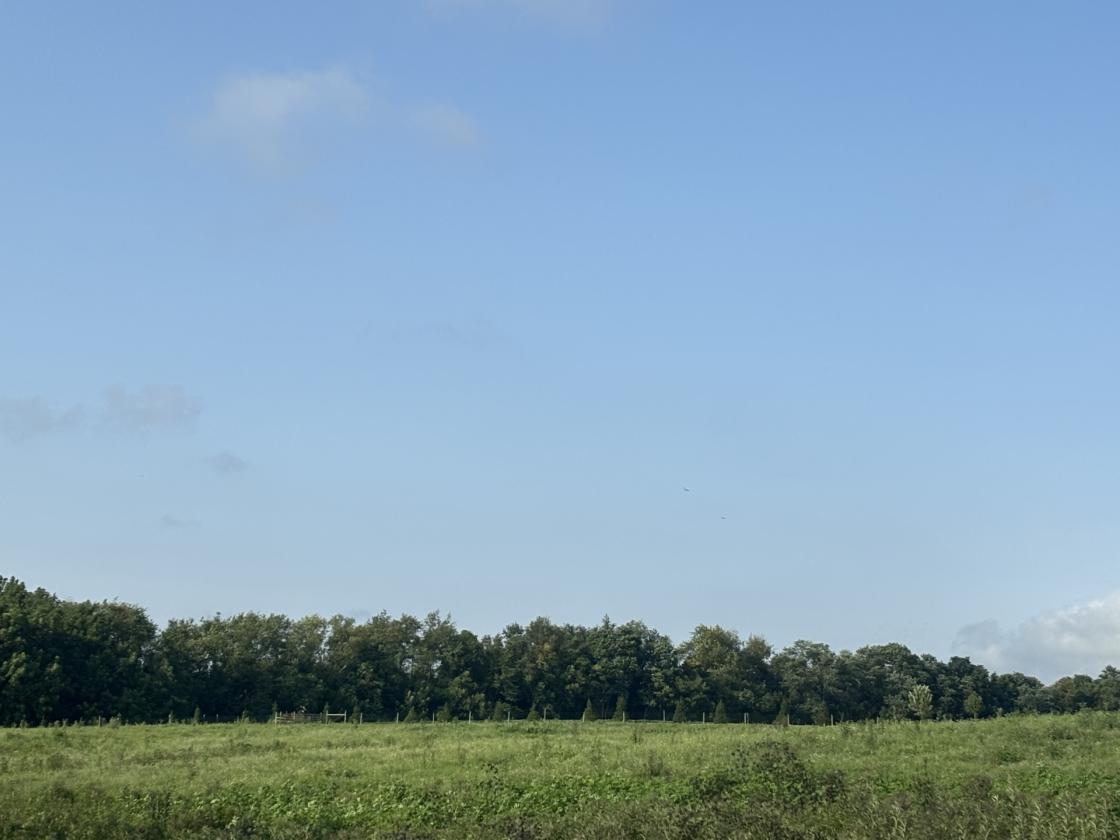 40 acres - photo 5