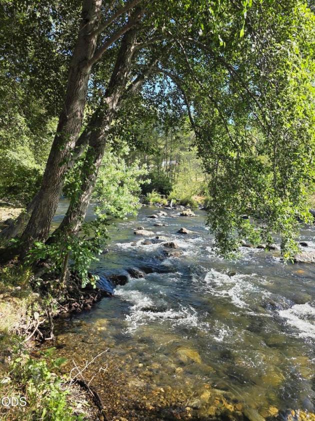 Applegate Riverfront Equestrian Property - photo 1