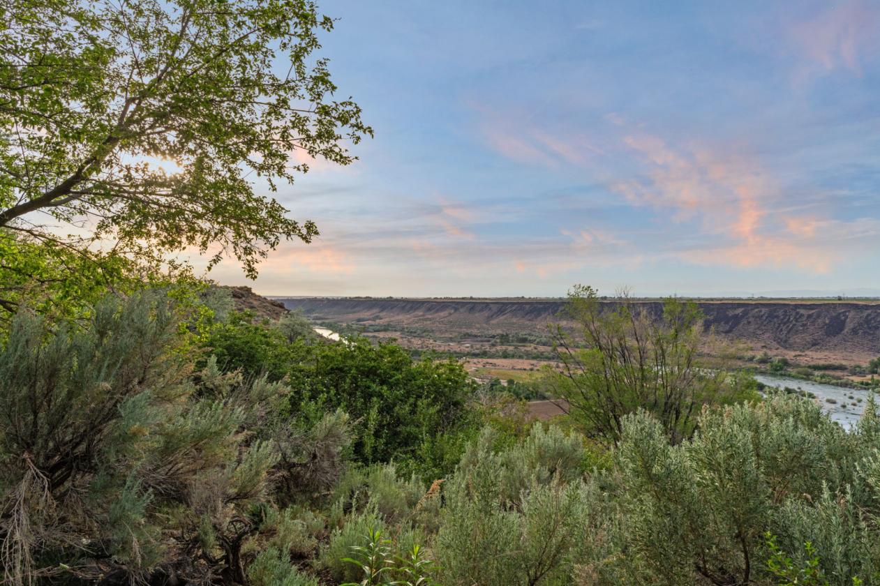 Legacy Equestrian Property with Jaw Dropping Views - photo 15