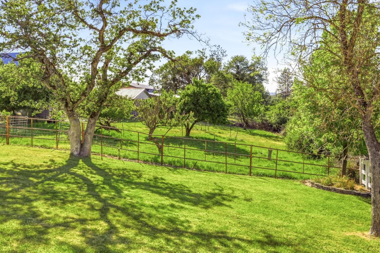 Amazing Opportunity near Rogue River - photo 14