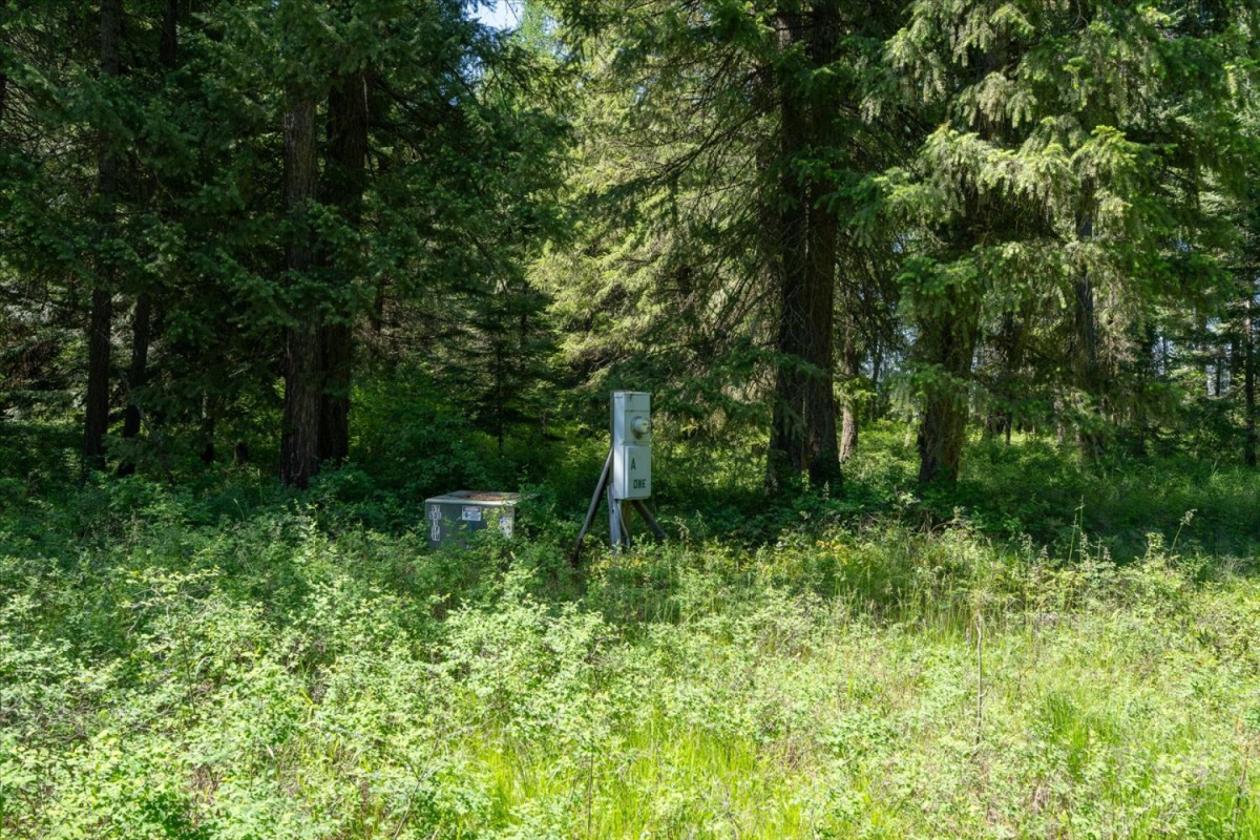 26 Level Acres with Nice Views! - photo 5