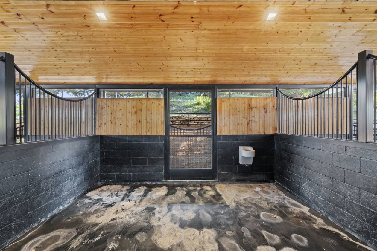 Luxury Texas Hill Country Equestrian Estate - photo 8